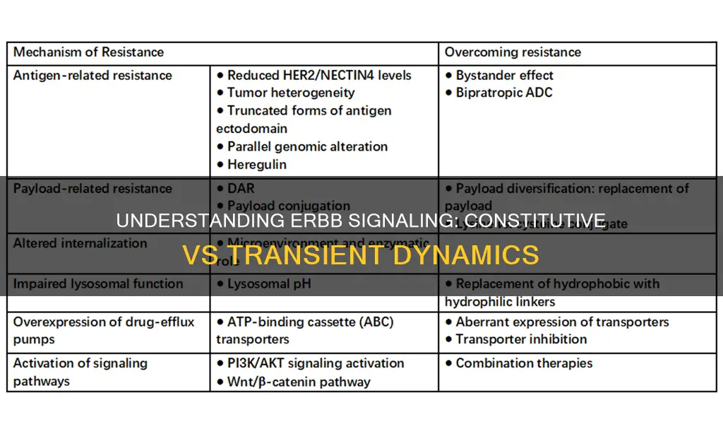 how to differentiate between constitutive signaling and transient erbb signaling