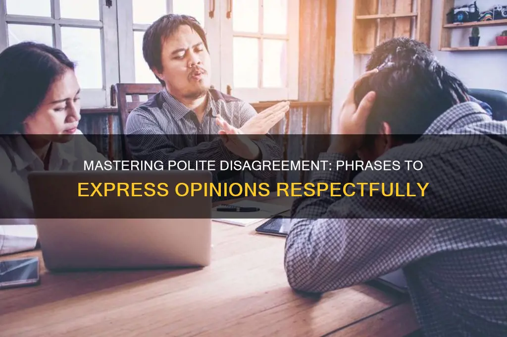 how to disagree politely phrases