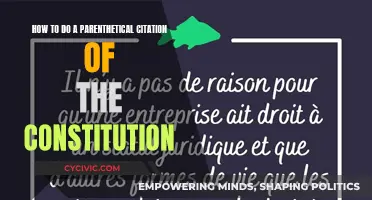 Citing the Constitution: Parenthetical Style