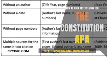 Citing the US Constitution in APA Style: In-Text Guide