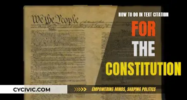 Citing the Constitution: In-Text Style Guide