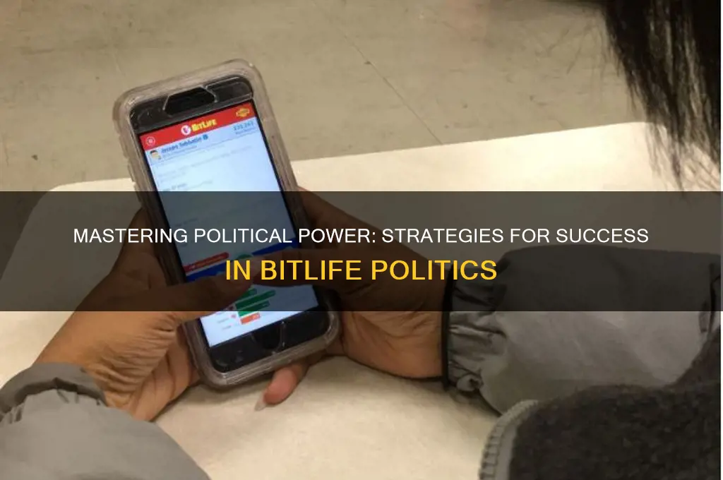 how to do politics bitlife