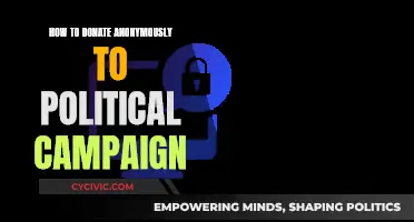 Donating Incognito: Political Campaign Contributions Anonymously