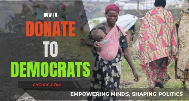 Donating to Democrats: Easy Ways to Support the Blue Wave