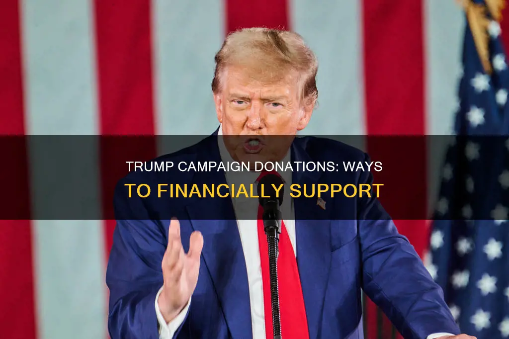 how to donate to the trump political campaign
