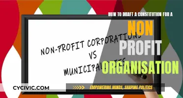 Crafting a Constitution: A Guide for Non-Profits