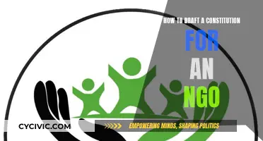 Drafting an NGO Constitution: A Step-by-Step Guide
