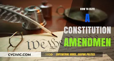 Selecting Amendments: A Guide to Constitutional Changes