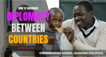 Encouraging Diplomacy: Strategies for Global Peace and Cooperation