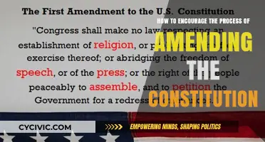 Amending the Constitution: Encouraging an Adaptive Process