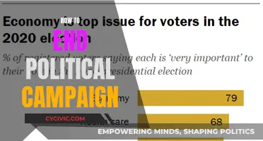 Strategies to End Political Campaigns: Effectively Conclude Your Run