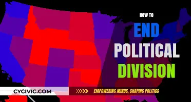 Bridging the Divide: Strategies to Unite a Polarized Political Landscape