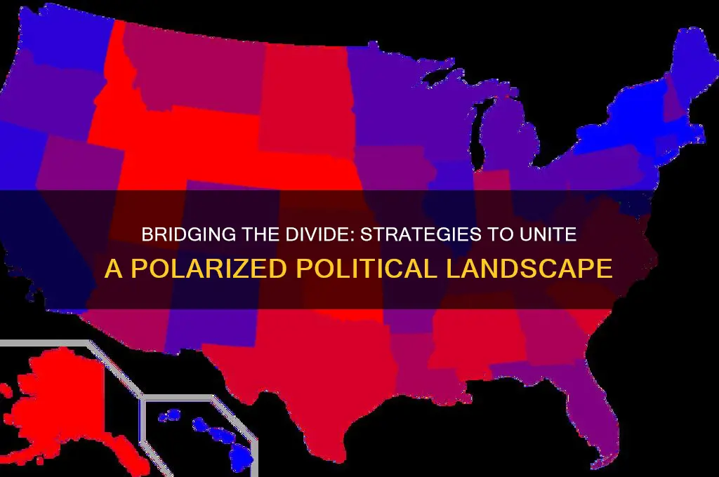 how to end political division