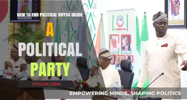 Uniting the Party: Strategies to Resolve Internal Political Rifts