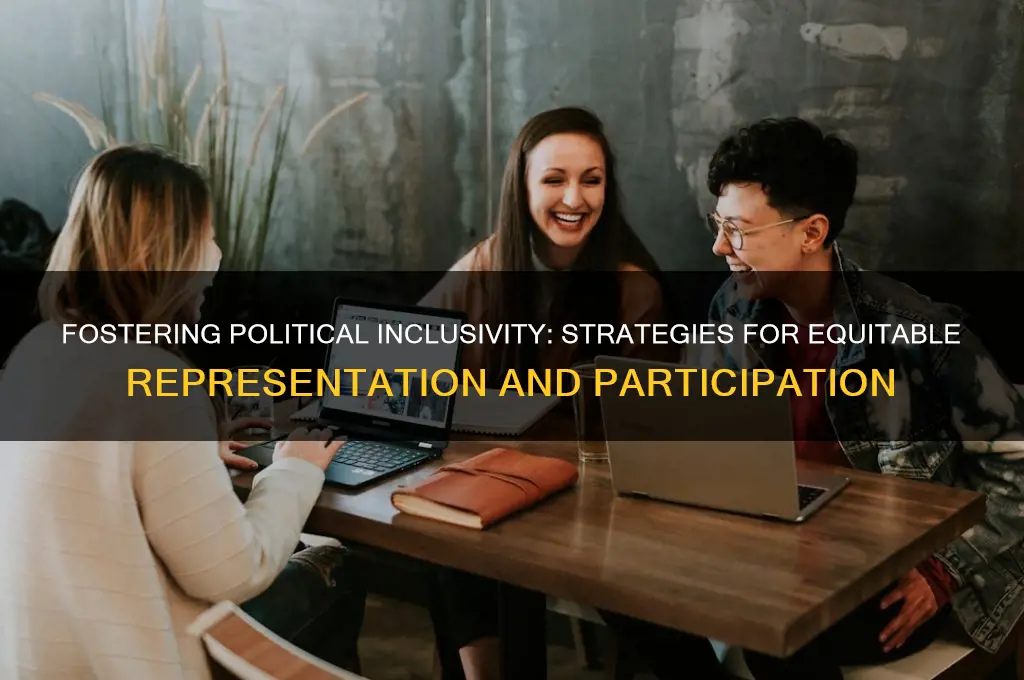 how to enforce political inclusioun