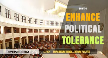 Fostering Unity: Practical Strategies to Enhance Political Tolerance Today