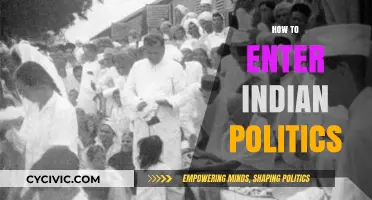 Navigating the Path: A Beginner's Guide to Entering Indian Politics