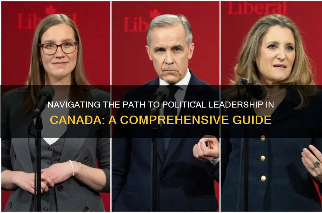 how to enter politics canada