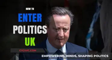 Navigating the Path to UK Politics: A Beginner's Comprehensive Guide