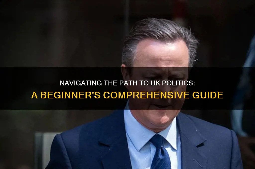 how to enter politics uk