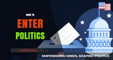 Navigating the Political Arena: A Beginner's Guide to Entering Politics