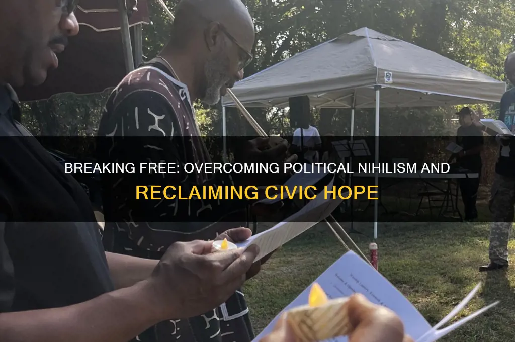 how to escape political nihilism