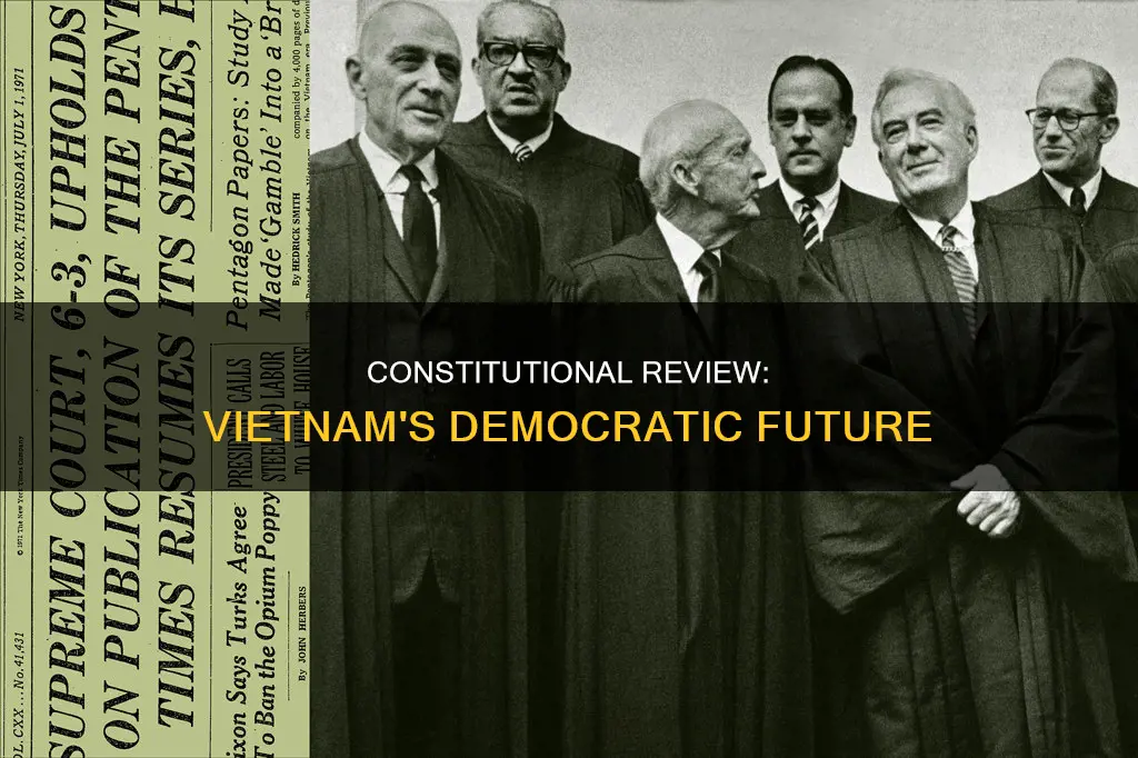 how to establish the constitutional review for vietnam