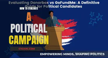 Evaluating Political Campaigns: Strategies for Success