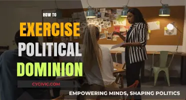 Mastering Political Dominion: Strategies for Influence and Effective Leadership