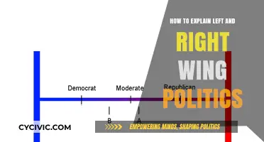 Understanding the Spectrum: A Guide to Left and Right Wing Politics