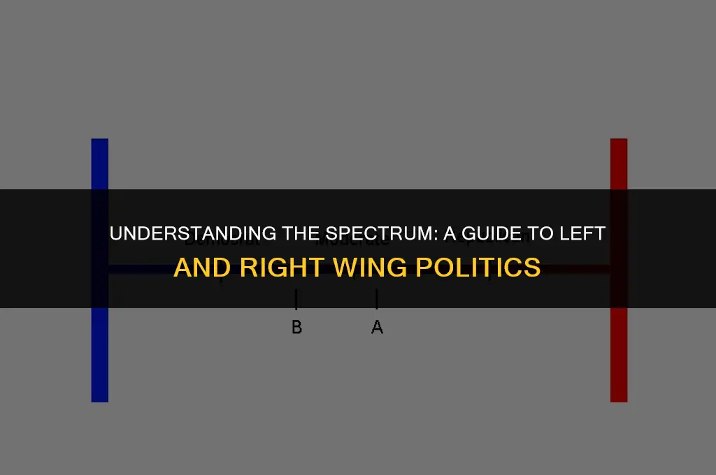 how to explain left and right wing politics