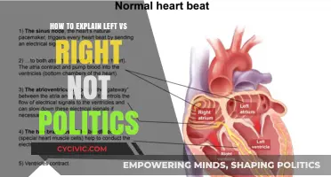 Understanding Left vs Right: A Guide Beyond Politics