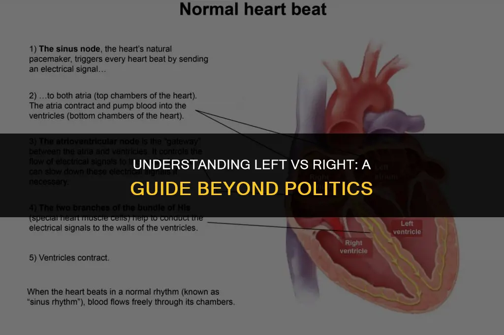 how to explain left vs right not politics