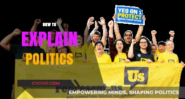 Understanding Politics: A Simple Guide to Complex Political Concepts