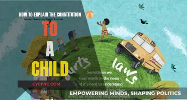 Understanding the Constitution: A Guide for Young Citizens