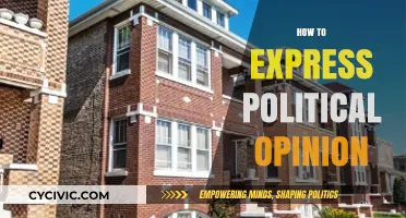 Mastering the Art of Expressing Political Opinions Respectfully and Effectually