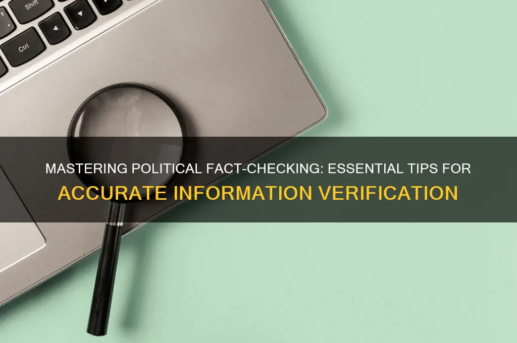 how to fact check politics