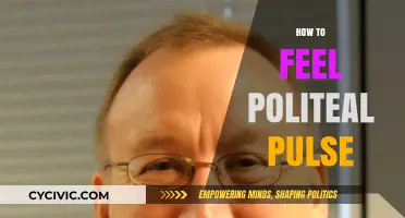 Mastering the Art of Sensing the Political Pulse: A Comprehensive Guide