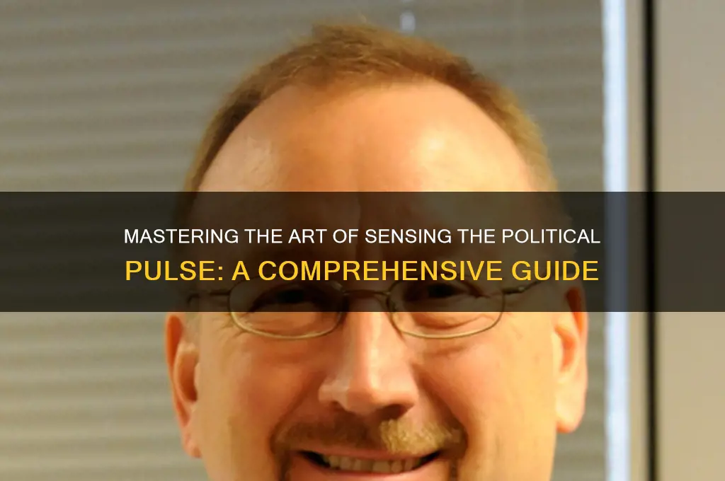 how to feel politeal pulse
