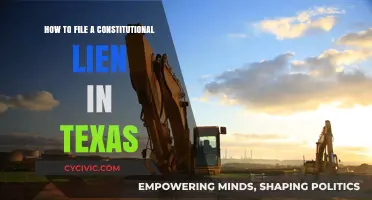 Filing a Constitutional Lien in Texas: A Step-by-Step Guide