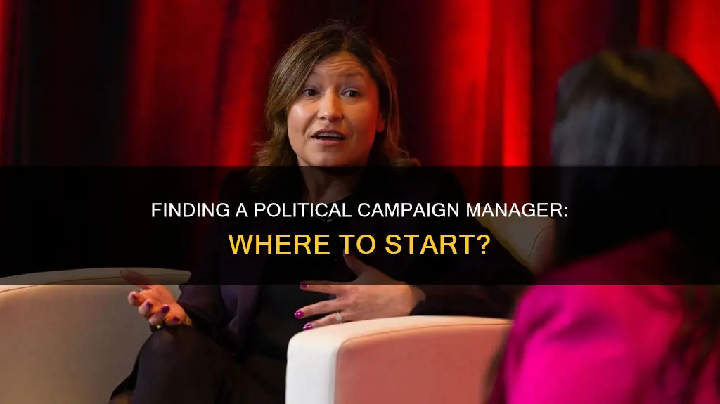 how to find a political campaign manager