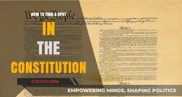 Finding Your Place: Understanding the US Constitution