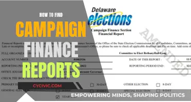 Uncover Campaign Finance: Where to Find Reports