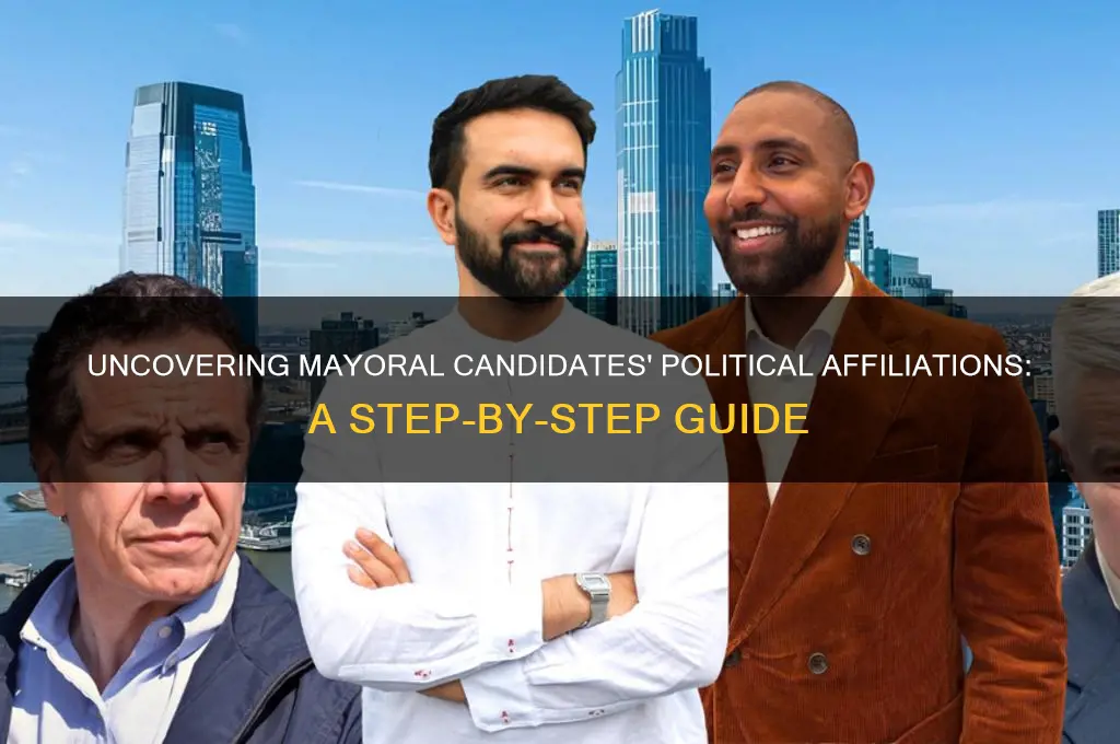 how to find out political party of nayoral candidates