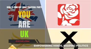 Discover Your UK Political Party: A Simple Guide to Alignment