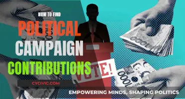 Uncover Political Campaign Contributions: Data-driven Strategies