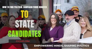 Uncover State-Level Campaign Donations: A Guide