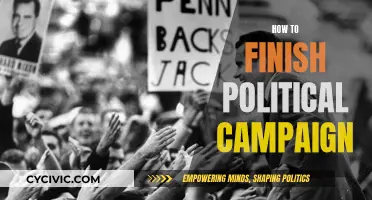 Strategies to End Political Campaigns: Final Steps to Victory