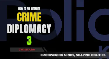 Addressing Internet Crime: Strategies for Global Diplomacy