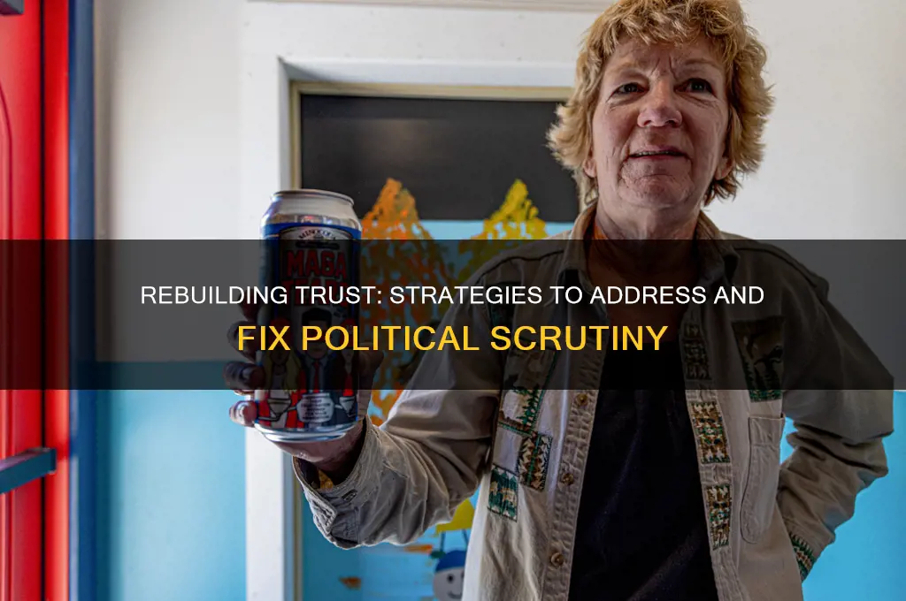 how to fix political scrutiny